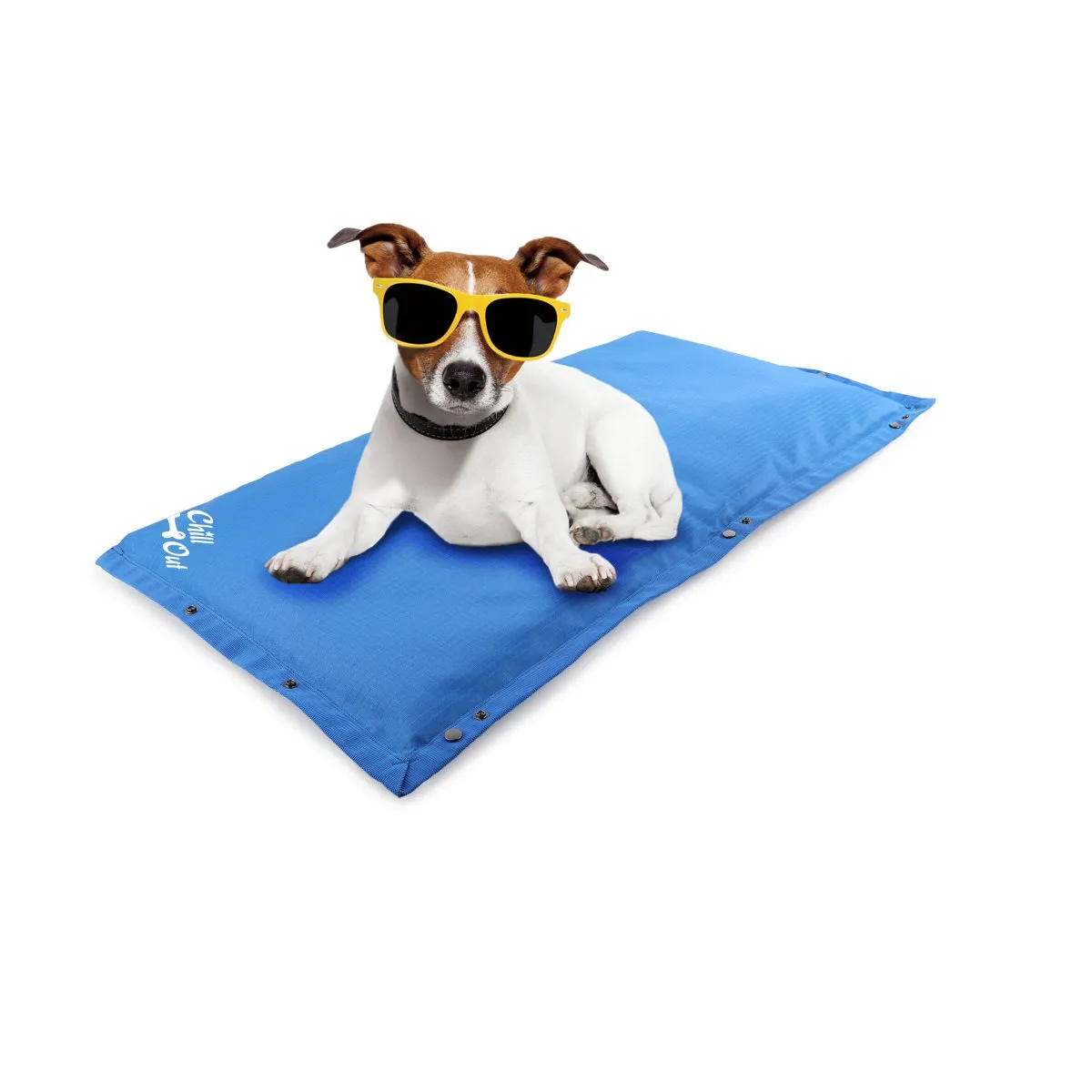 All For Paws Chill Out Arctic Cooling Mat