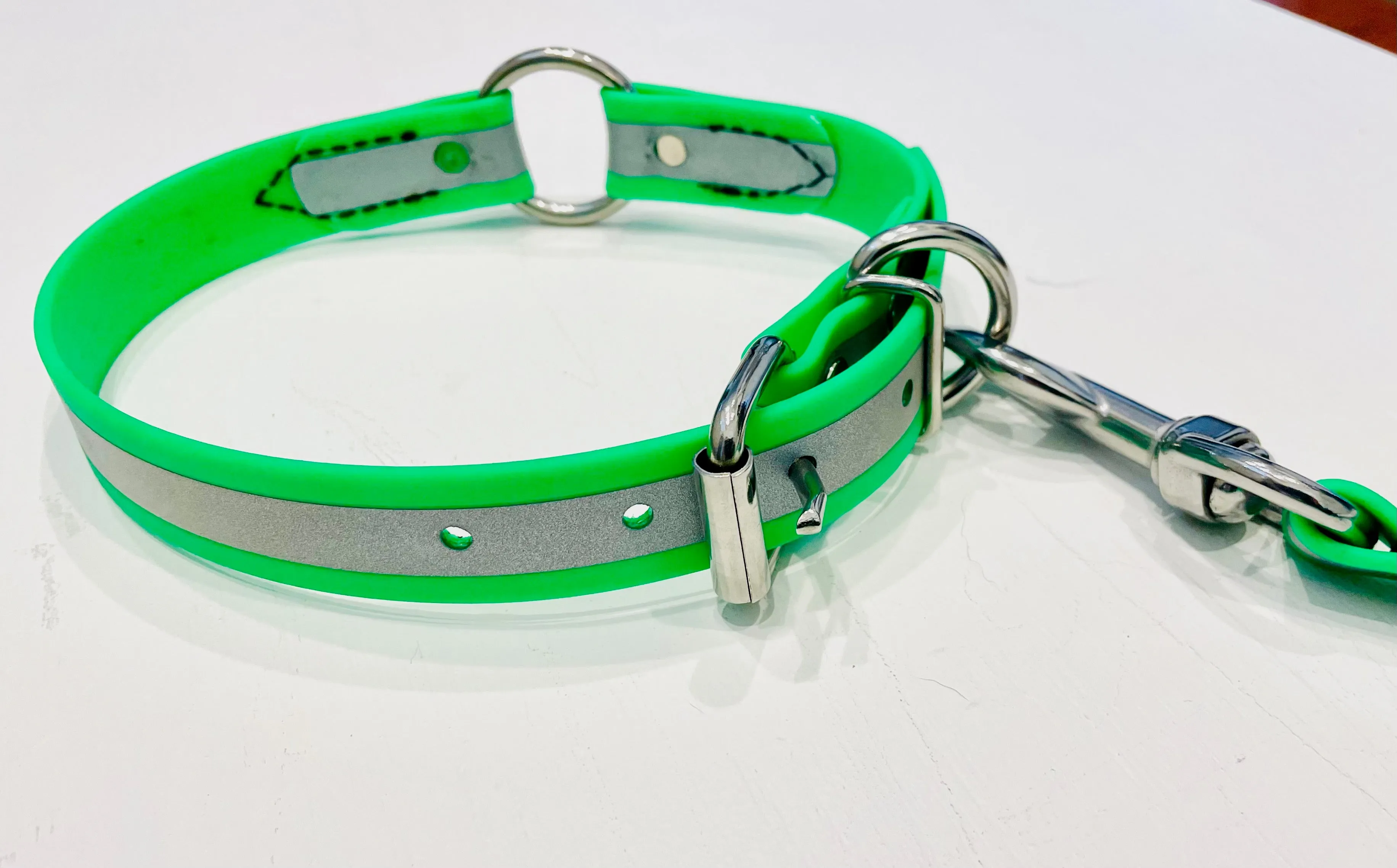 BioThane Reflective Sport Collar