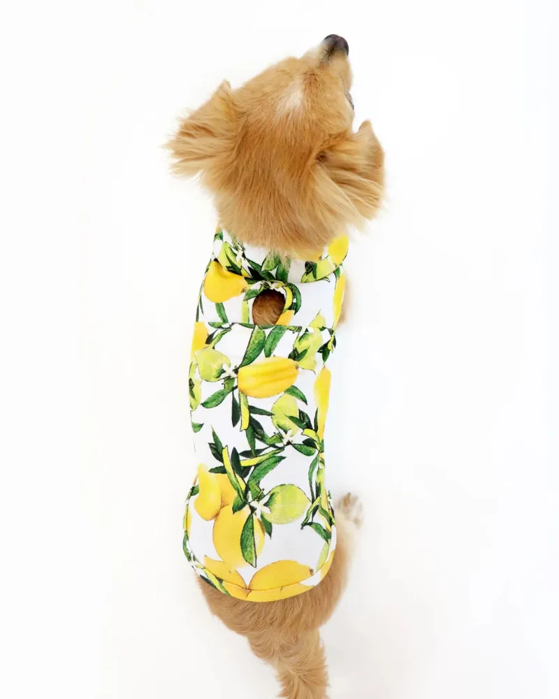 Lemon Dog Cooling Jacket (FINAL SALE)