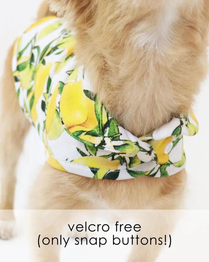 Lemon Dog Cooling Jacket (FINAL SALE)