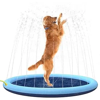 Pawise Doggy Splash Pad 100cm