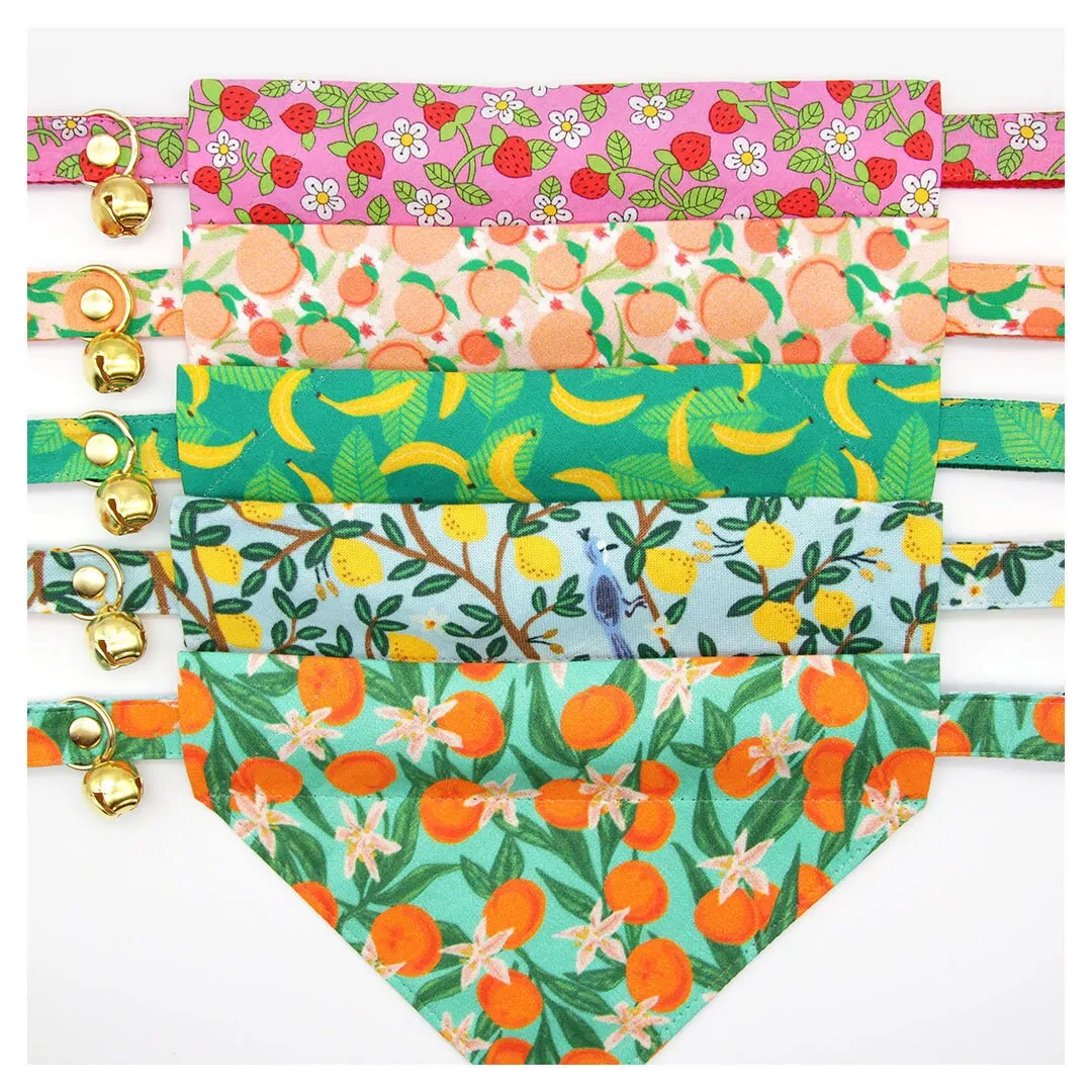 Pet Bandana - "Clementine Blossom" - Mint Green & Orange Citrus Bandana for Cat   Small Dog / Spring. Summer, Tangerine, Tropical / Slide-on Bandana / Over-the-Collar (One Size)