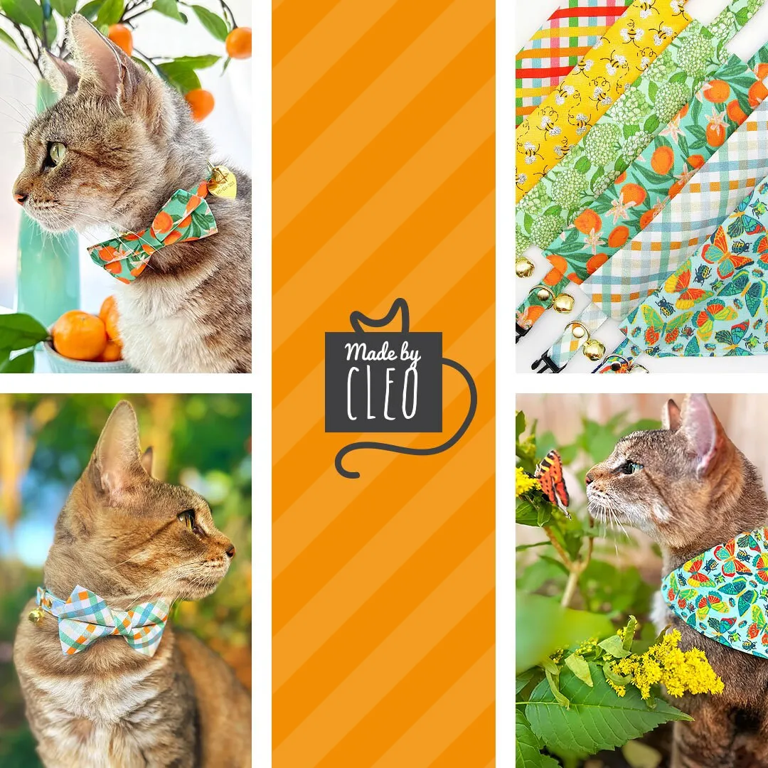 Pet Bandana - "Clementine Blossom" - Mint Green & Orange Citrus Bandana for Cat   Small Dog / Spring. Summer, Tangerine, Tropical / Slide-on Bandana / Over-the-Collar (One Size)
