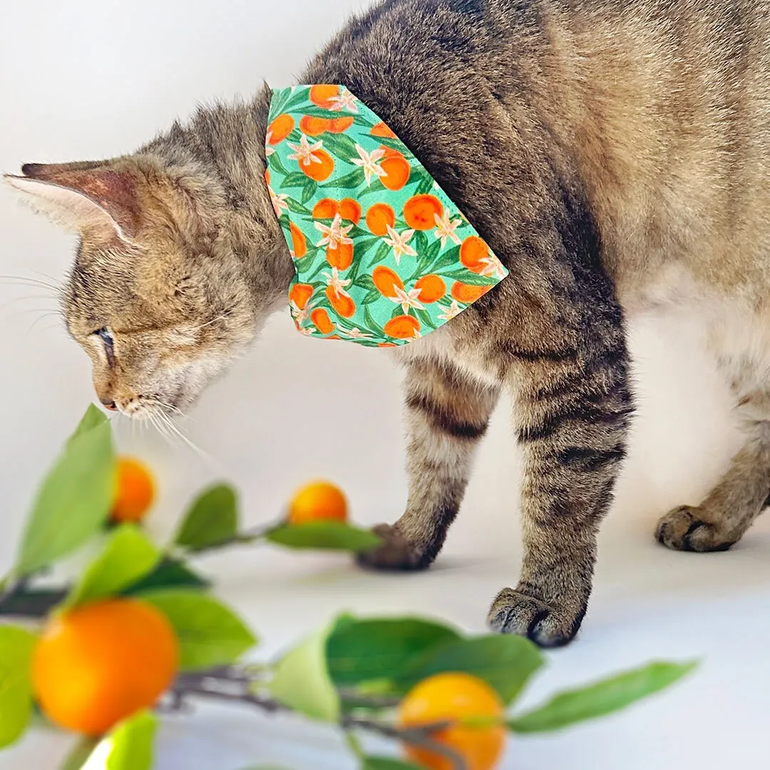 Pet Bandana - "Clementine Blossom" - Mint Green & Orange Citrus Bandana for Cat   Small Dog / Spring. Summer, Tangerine, Tropical / Slide-on Bandana / Over-the-Collar (One Size)